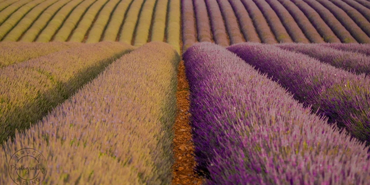 Cooking in Provence