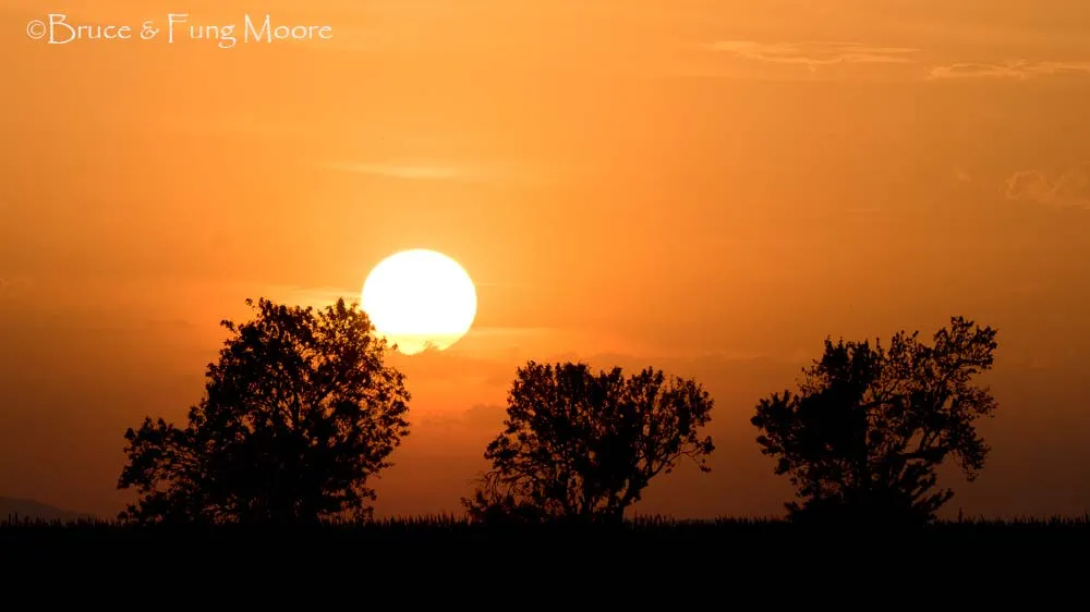 Valensole sunset