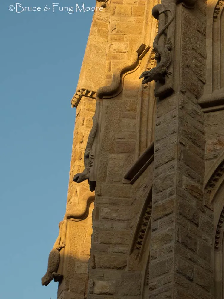 church lizards Gaudi church lizards