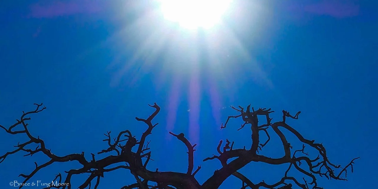 In the Heat of the Day