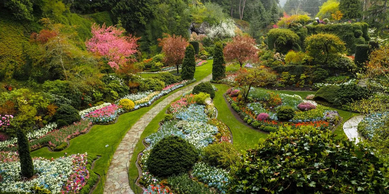 Butchart Gardens: Over 100 Years In Bloom
