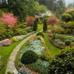 Butchart Gardens: Over 100 Years In Bloom