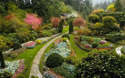 Butchart Gardens: Over 100 Years In Bloom