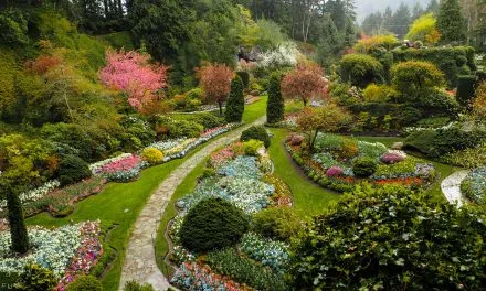 Butchart Gardens: Over 100 Years In Bloom