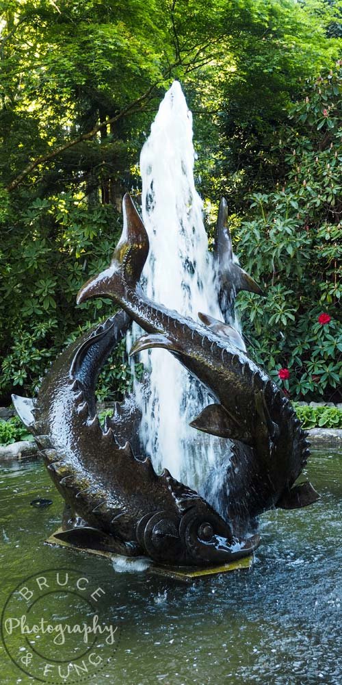sturgeon fountain - Butchart Gardens