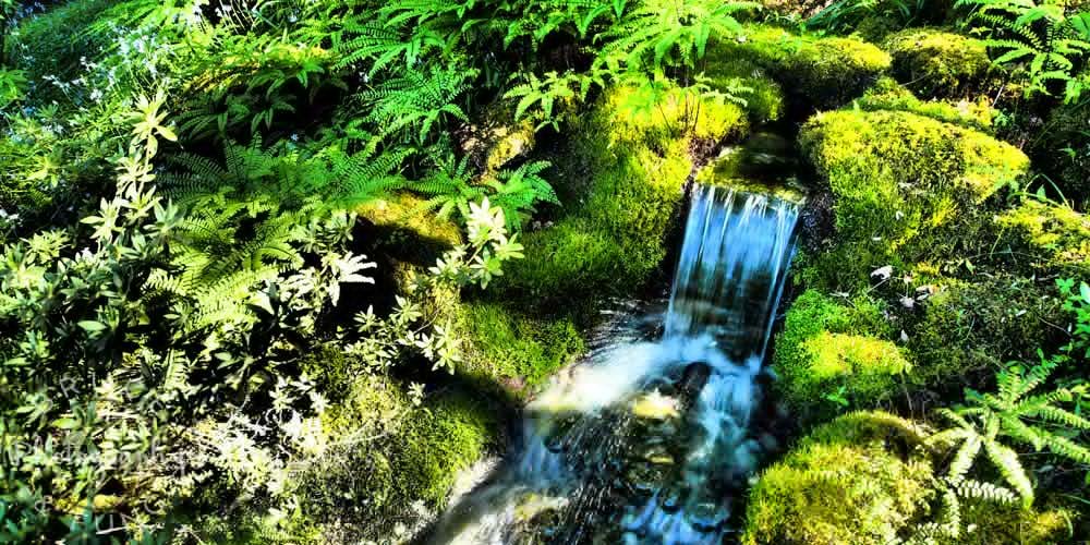 mini-waterfall in the Japanese Garden