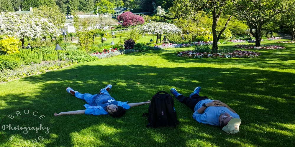 resting on the grass - Butchart Gardens
