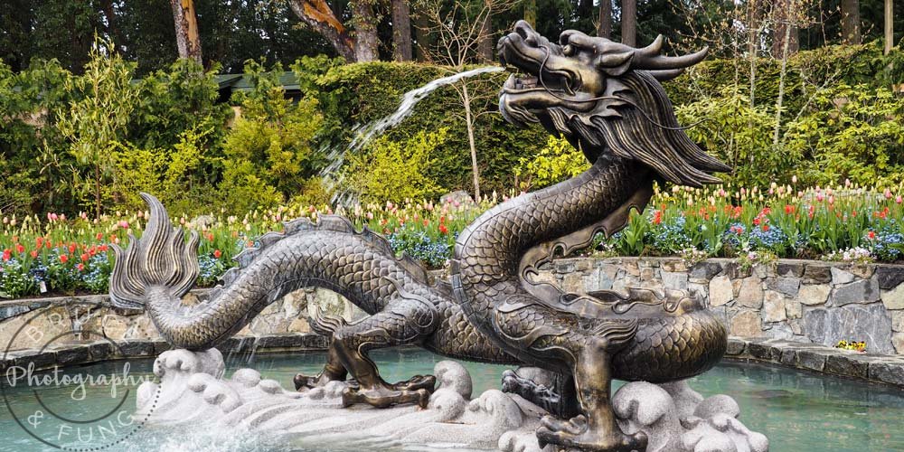 dragon fountain - Butchart Gardens