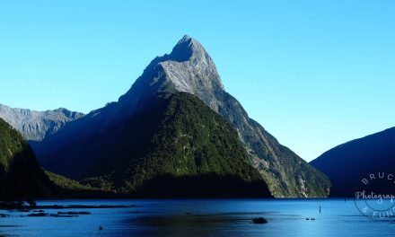 Milford Sound: Our Complete Guide