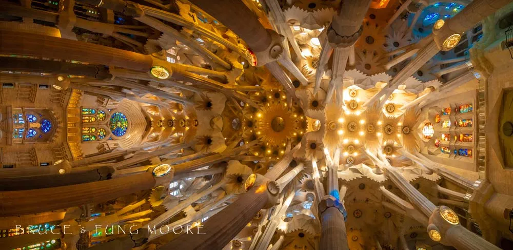 the incredible ceiling of La Sagrada Familia ceiling of La Sagrada Familia