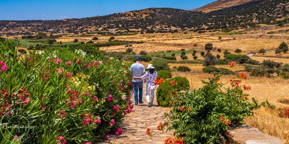 The Valley of Sangri on Naxos