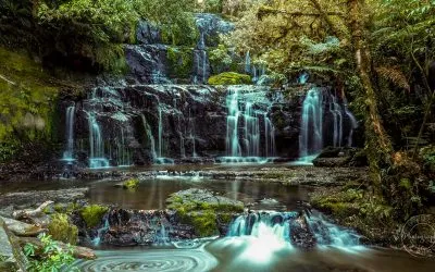 New Zealand’s Southern Scenic Route