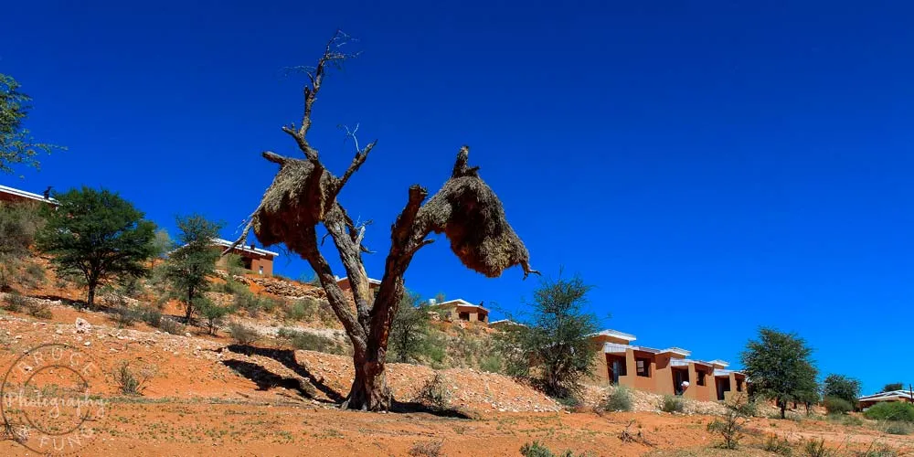 Kgalagadi Lodge