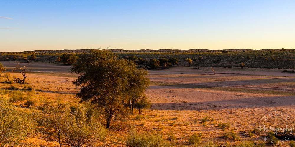 View of the waterhole at the Kalahari Tented Camp