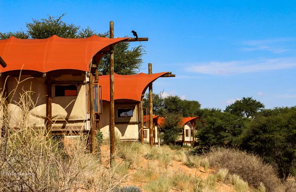 Kalahari Tented Camp in Kgalagadi